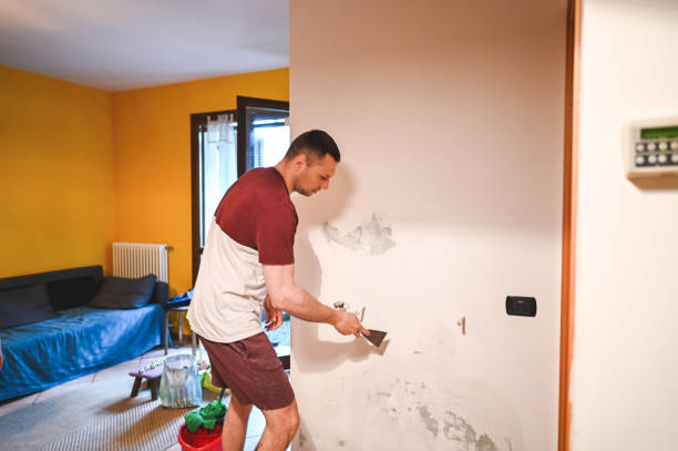 Best Best Mold Removal Companies  in Dadeville, AL